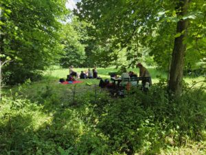 Mehr über den Artikel erfahren Wandertag im Generalspark