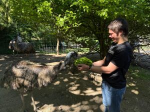 Mehr über den Artikel erfahren Ein spannender Ausflug zu den Emus